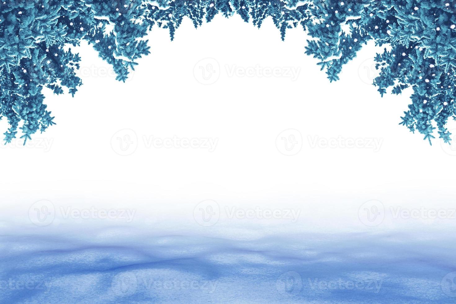Christmas card with fir branches. photo