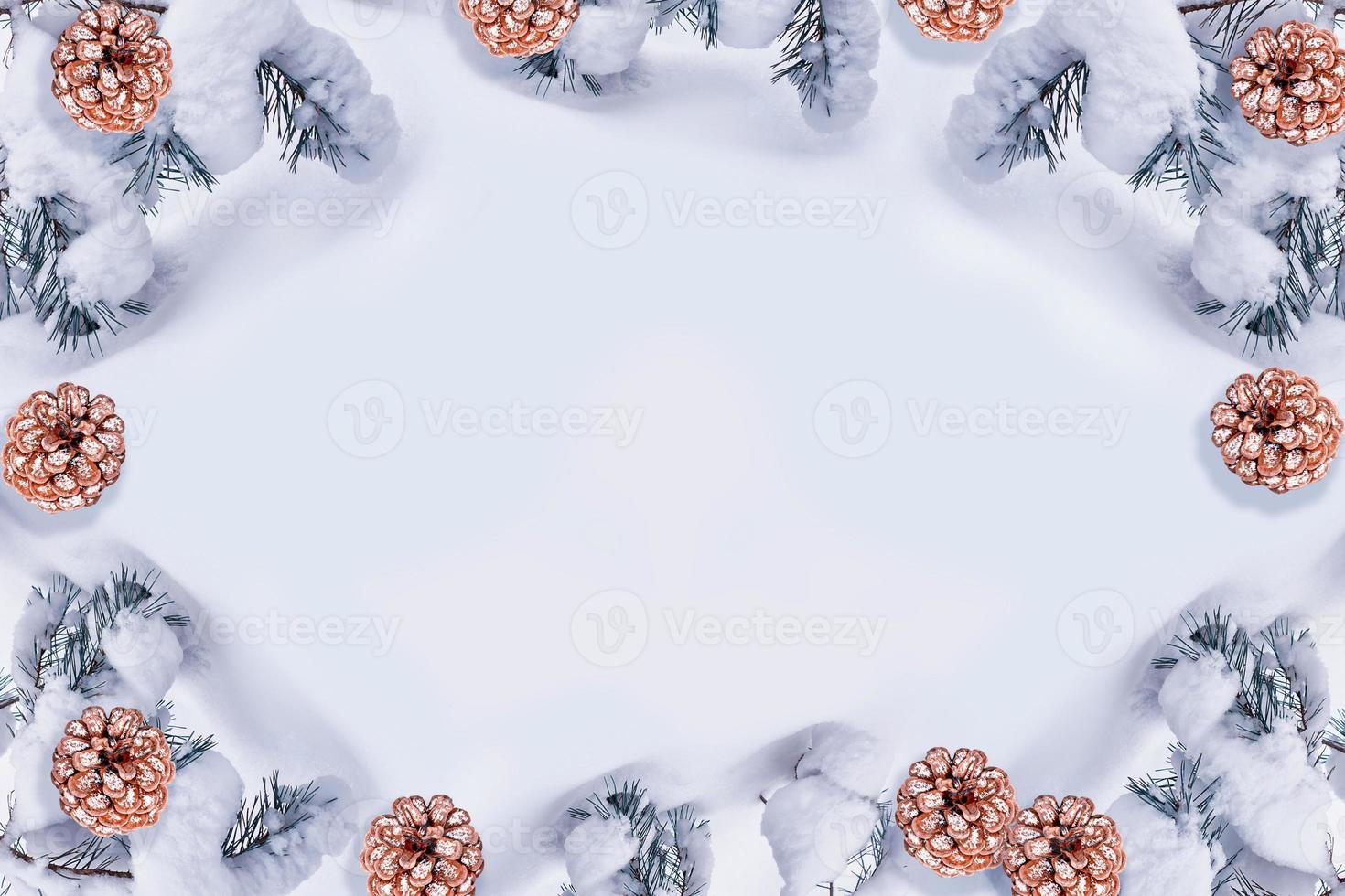 Frozen winter forest with snow covered trees. photo