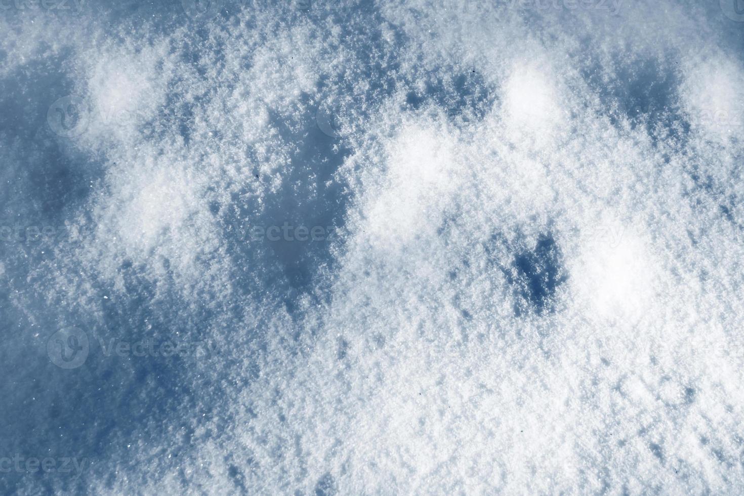 Winter landscape. background of snow photo