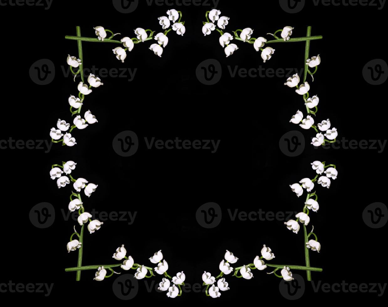 Lily of the valley flower on black  background. photo