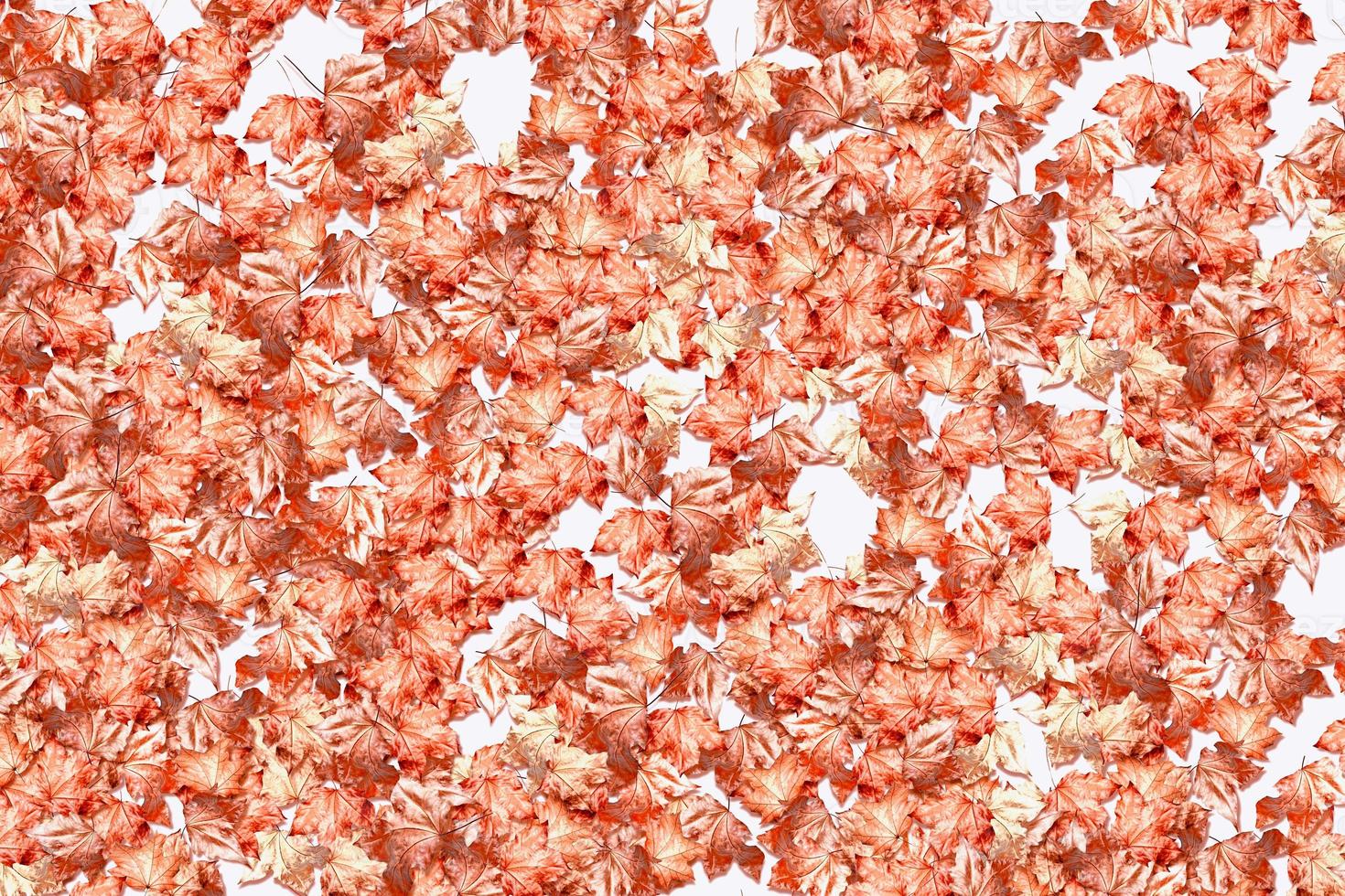 abstract background of autumn leaves photo