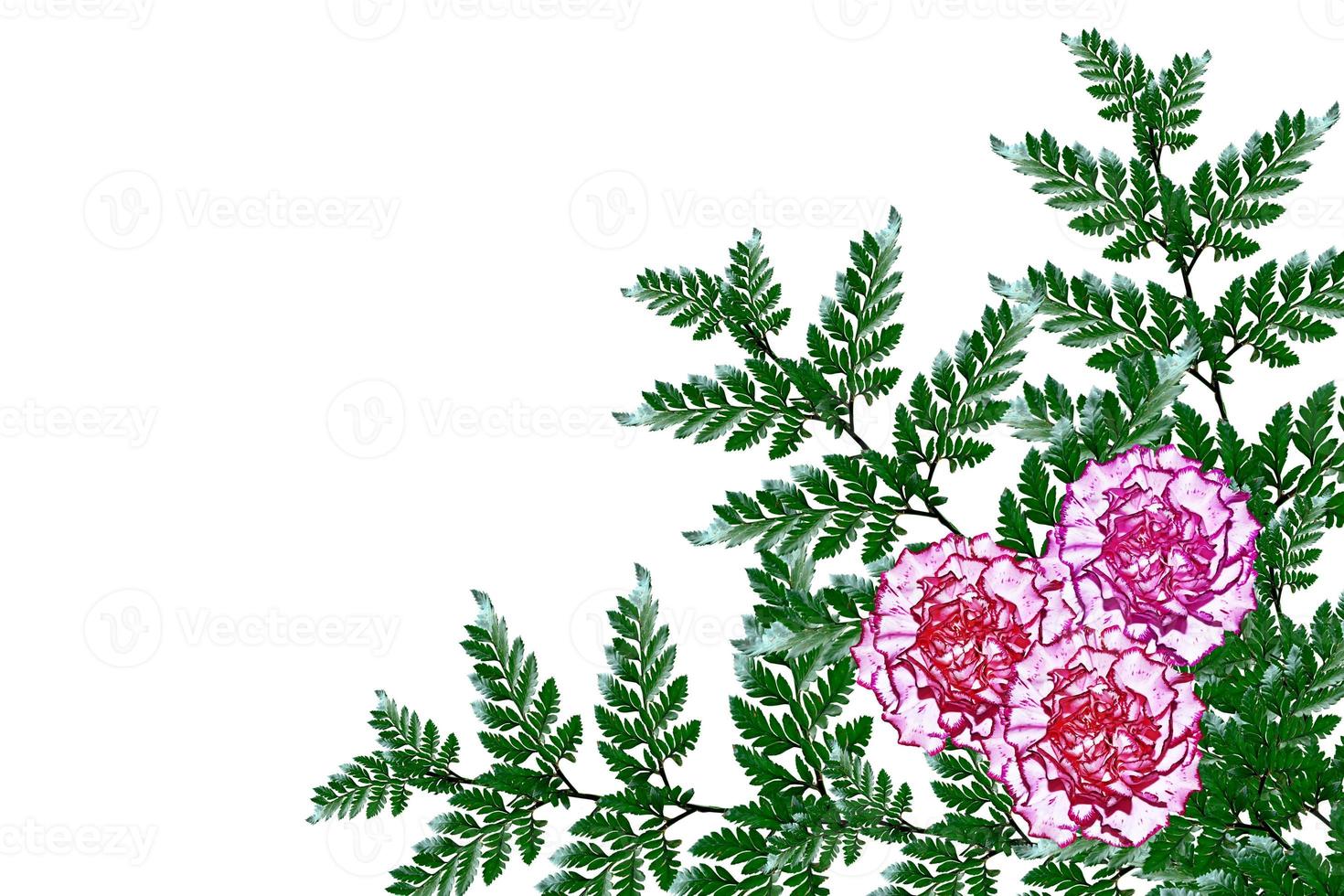 Bouquet of flowers carnation. photo