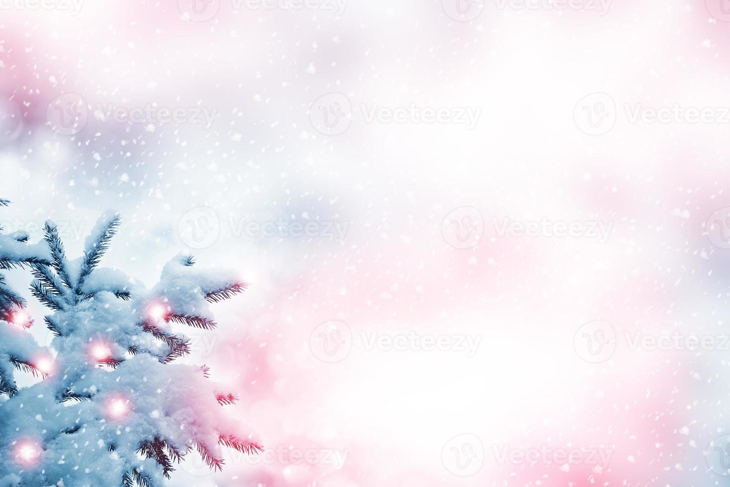 forest in the frost. Winter landscape. Snow covered trees. photo