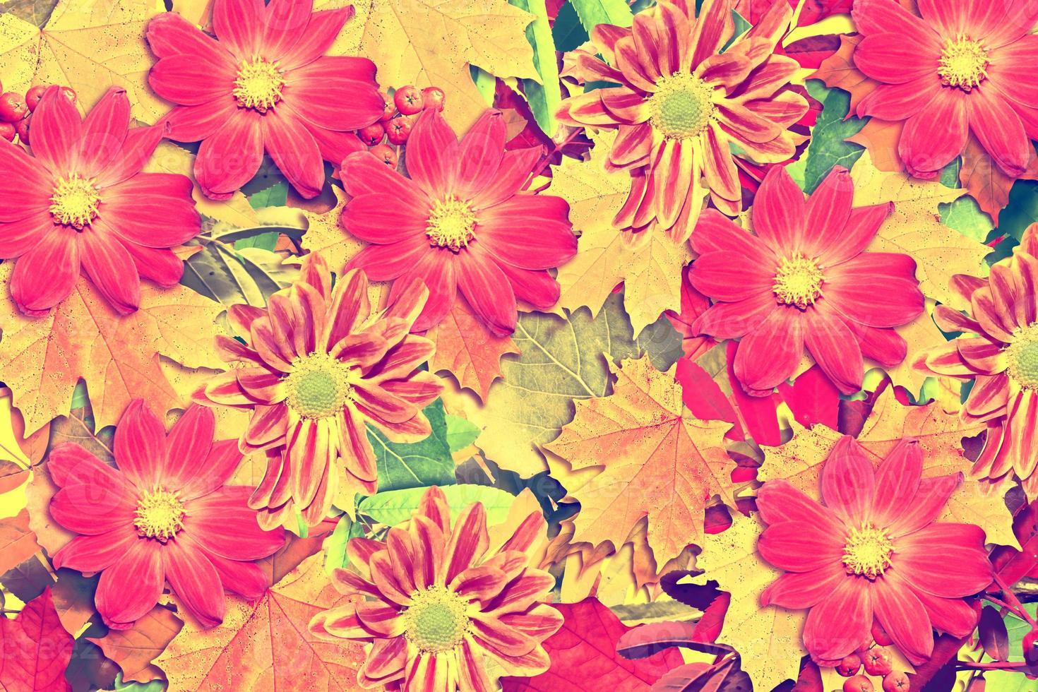 abstract background of autumn leaves photo