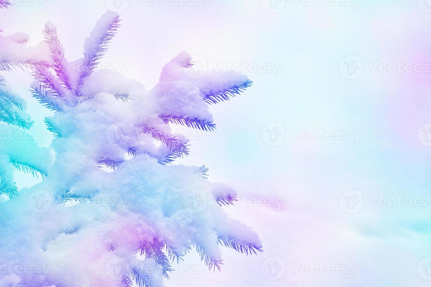 forest in the frost. Winter landscape. Snow covered trees. photo