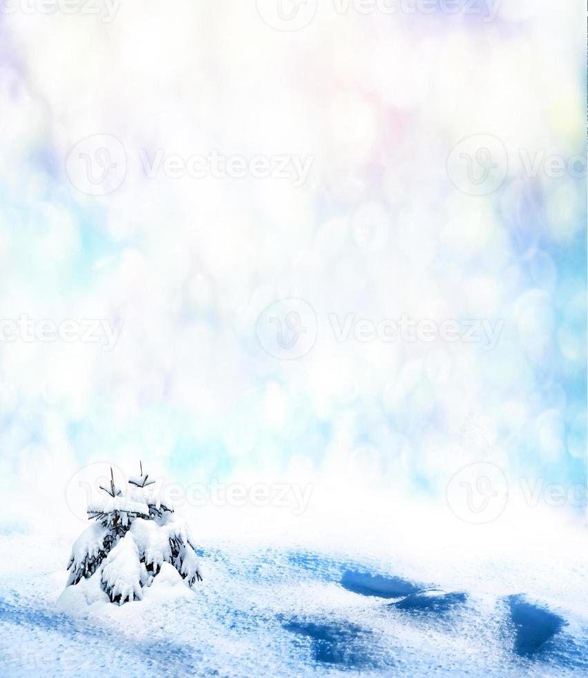 forest in the frost. Winter landscape. Snow covered trees. photo