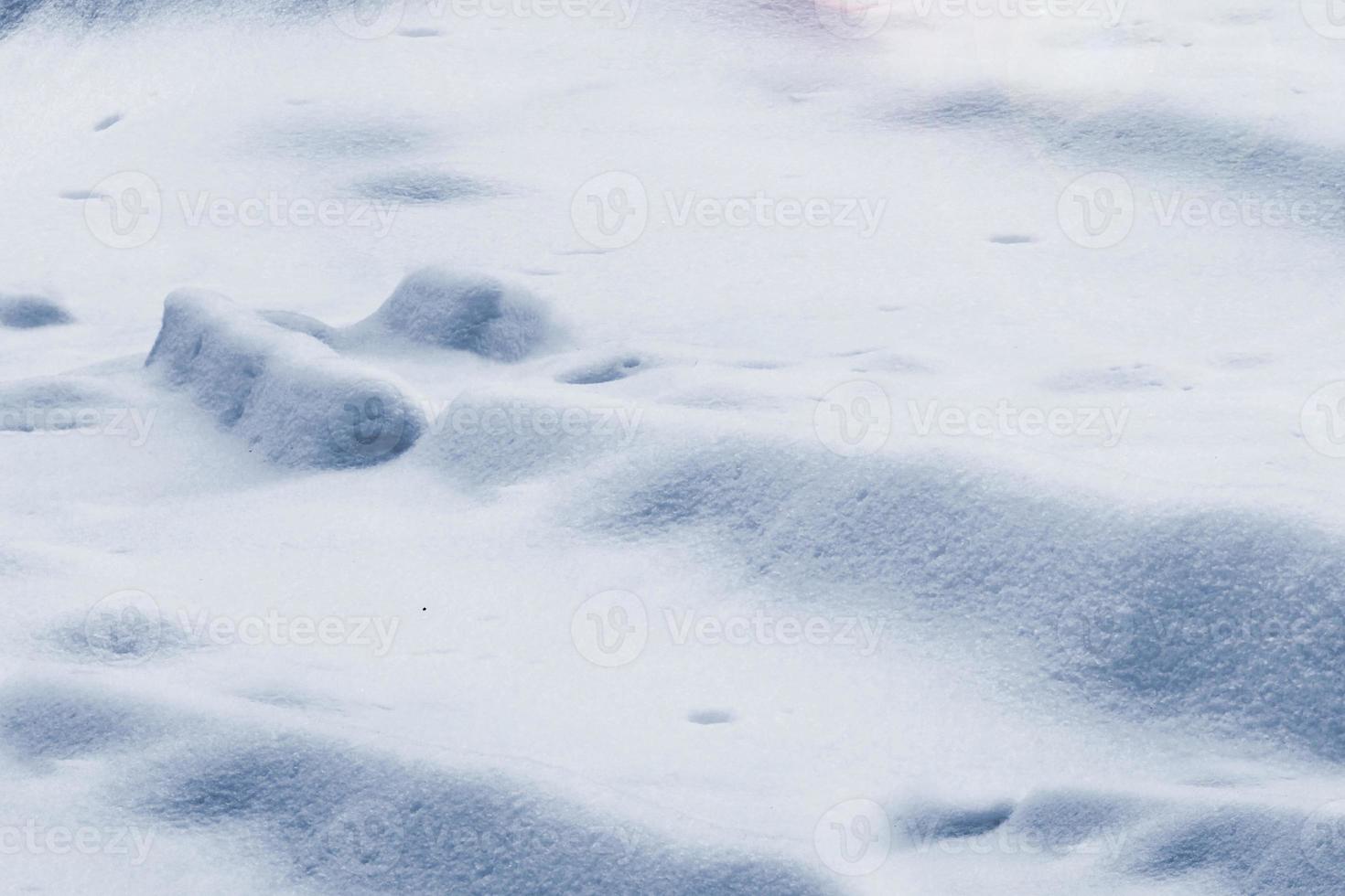 Background of snow. photo