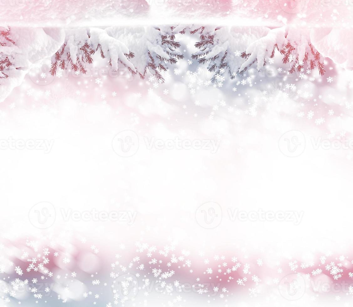 winter landscape. Nature. photo