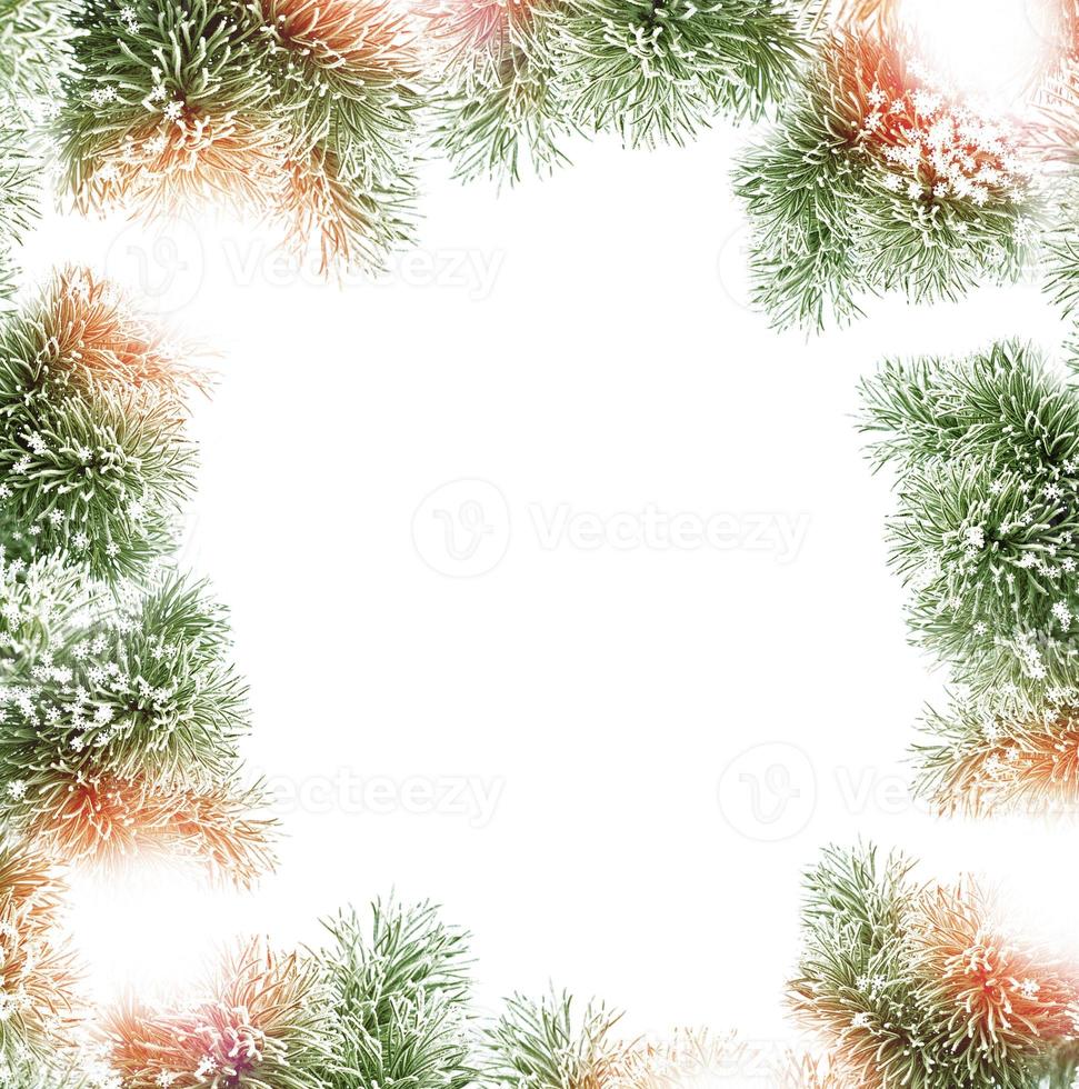 Winter Forest. Winter landscape. photo