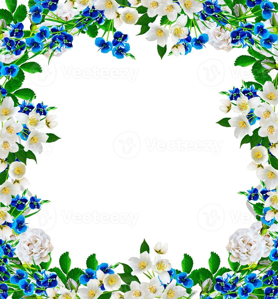 frame from flowers roses, jasmine and forget me photo
