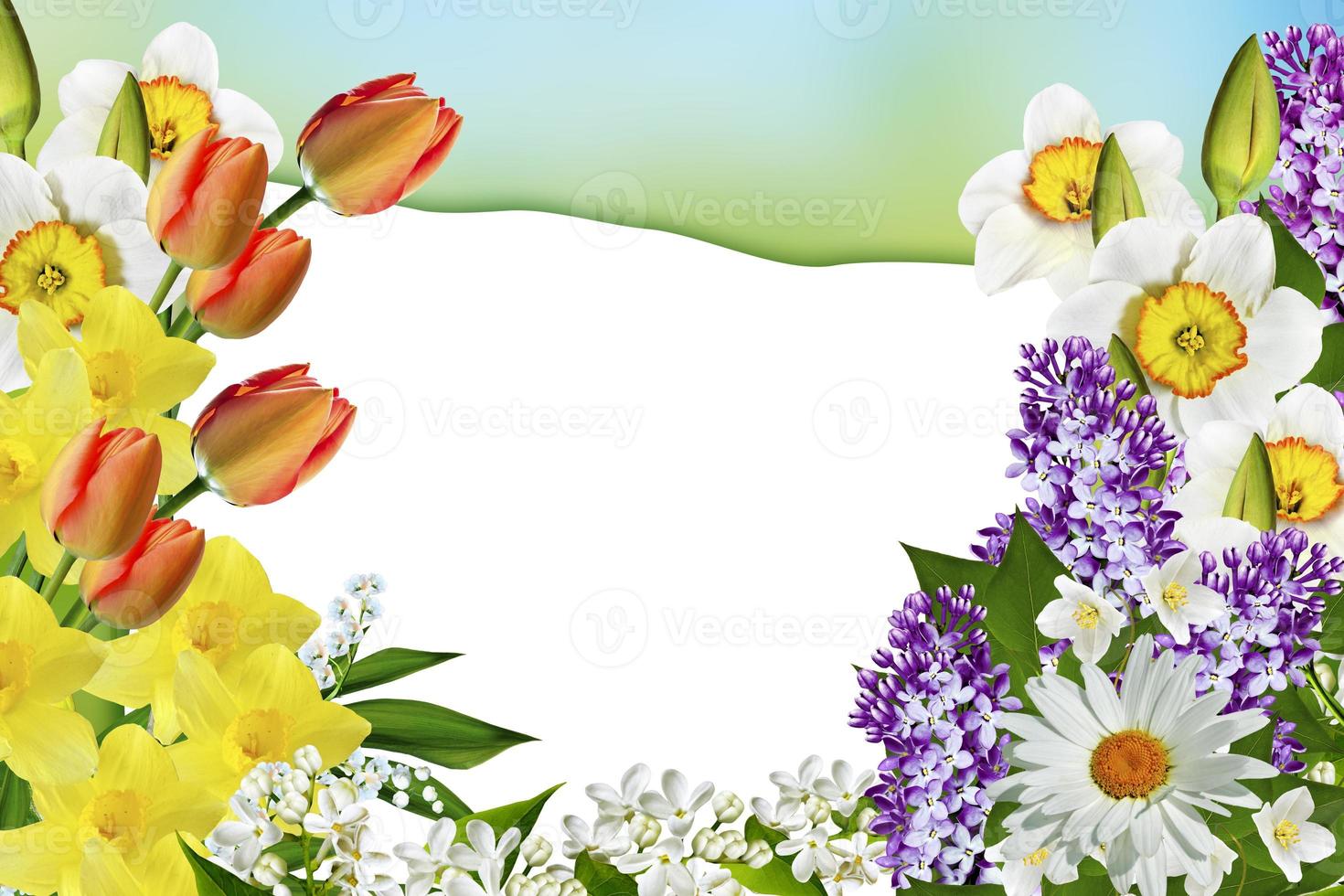 Holiday Spring card. Floral background. Bright colorful flowers. photo