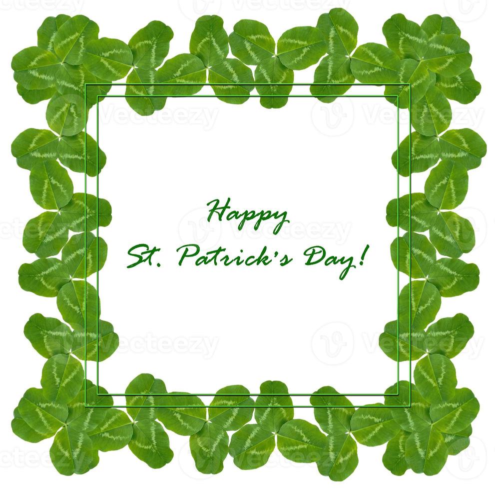 green clover leaves isolated on white background. St.Patrick 's Day photo