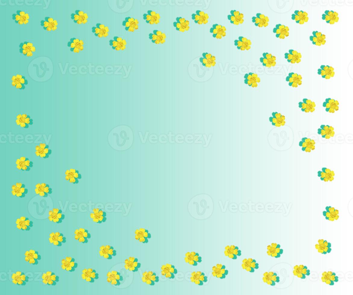 Yellow wildflowers buttercup photo