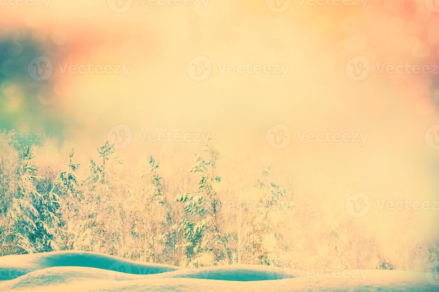 Blurred background. winter forest with snow covered trees. photo