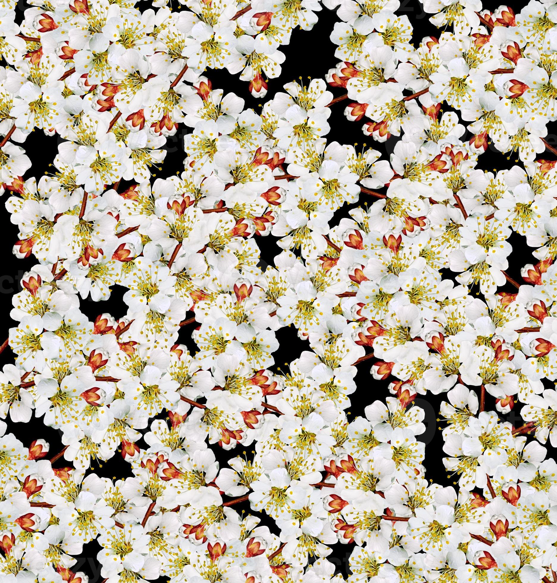 floral background of flowers Apricot 10022743 Stock Photo at Vecteezy