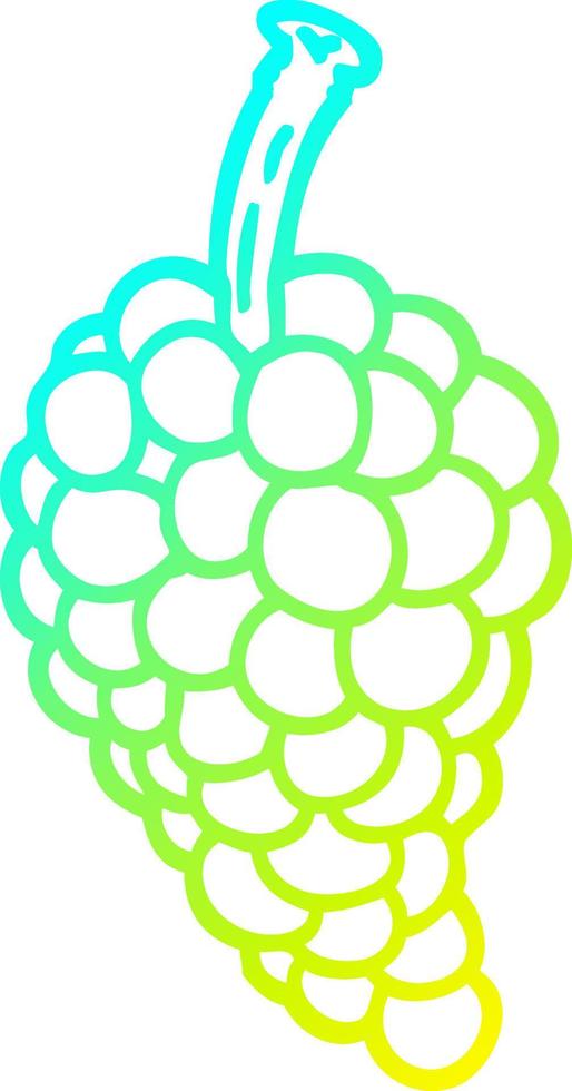 cold gradient line drawing cartoon bunch of grapes vector