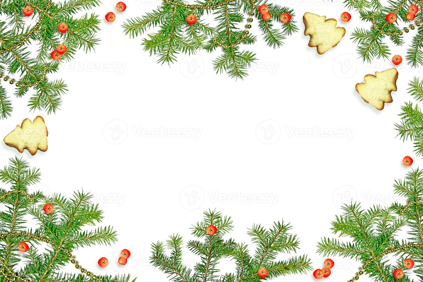 Christmas composition. Green spruce decorated with berries of mountain ash and cookies photo