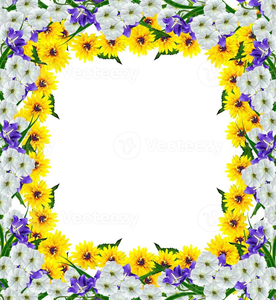 Yellow rudbeckia flower on a white background photo