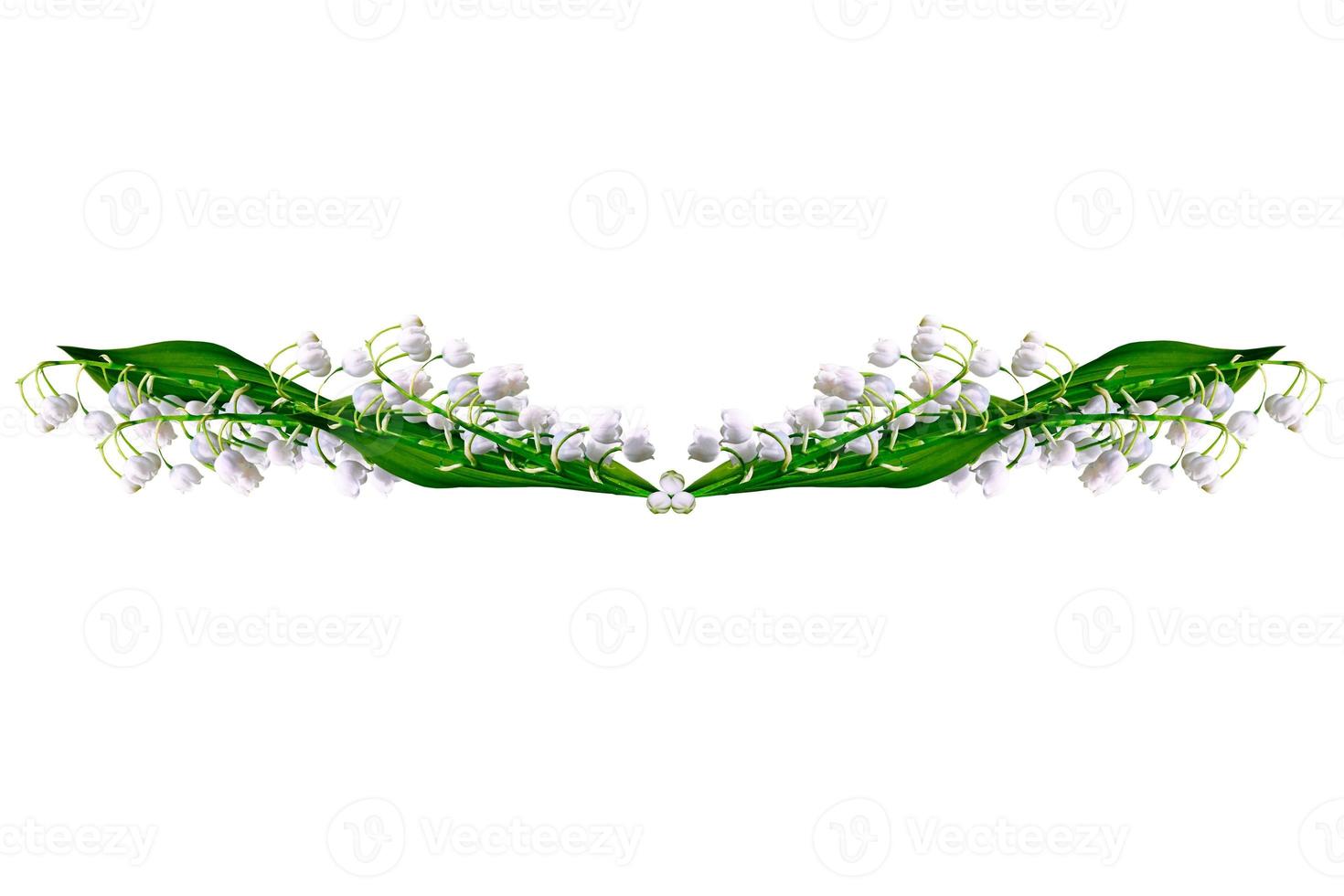 The branch of lilies of the valley flowers isolated on white background photo