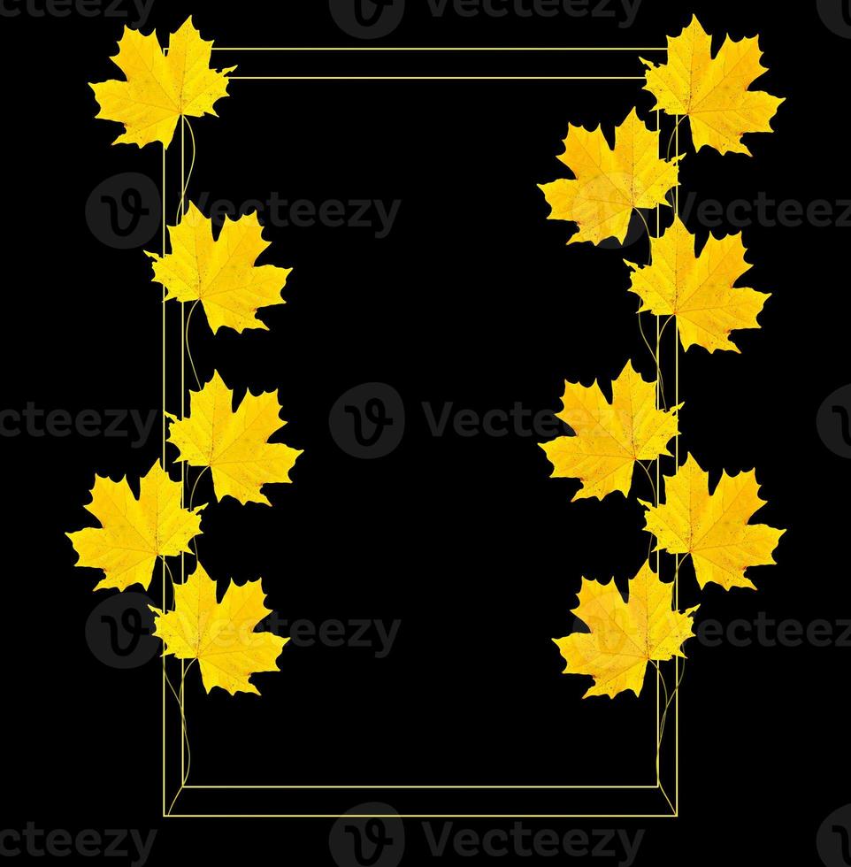 autumn leaves isolated on black background. photo