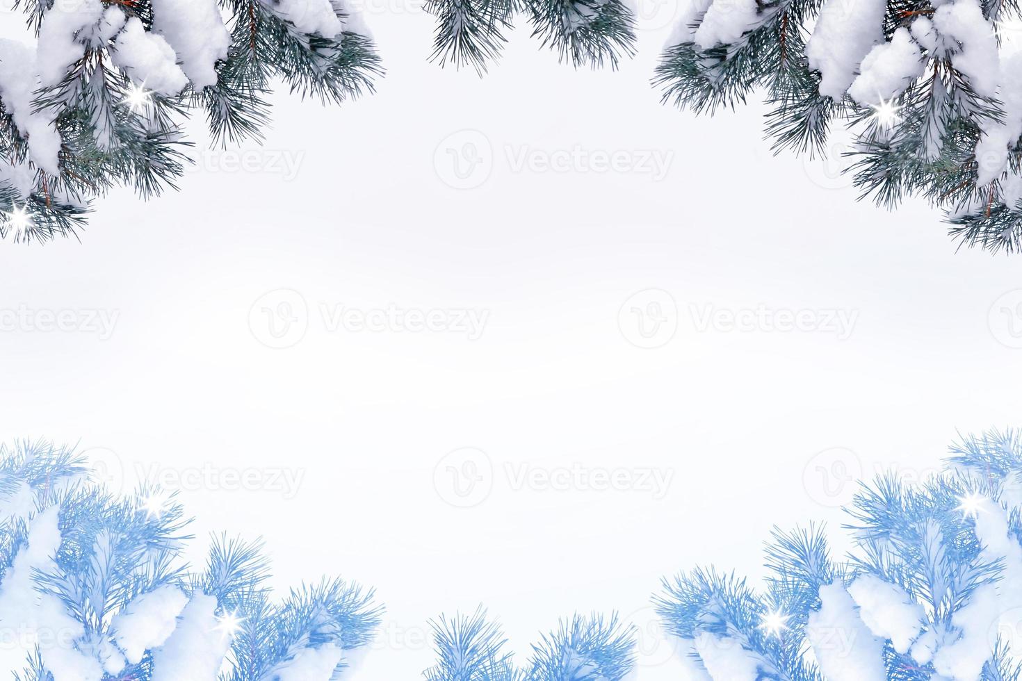 forest in the frost. Winter landscape. Snow covered trees. photo