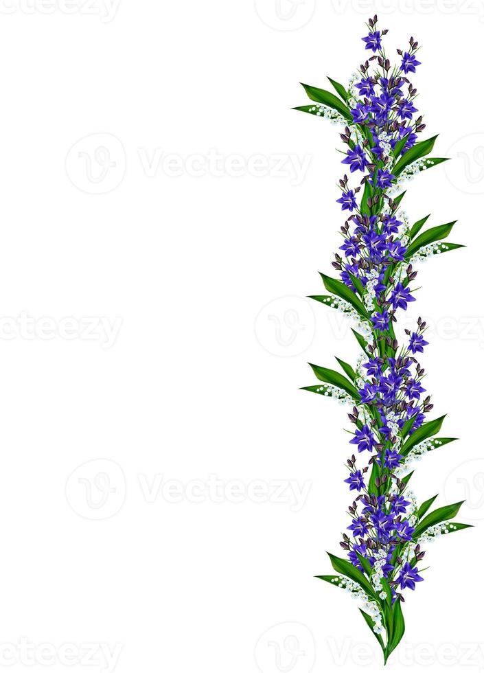 bell flower isolated on white background photo