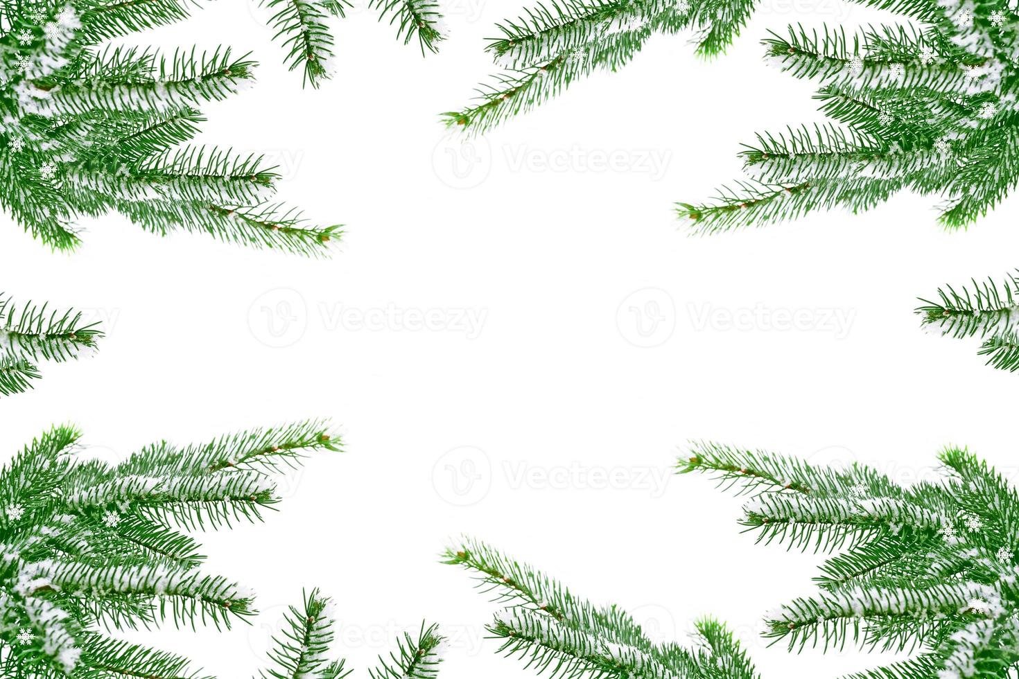 forest in the frost. Winter landscape. Snow covered trees. photo