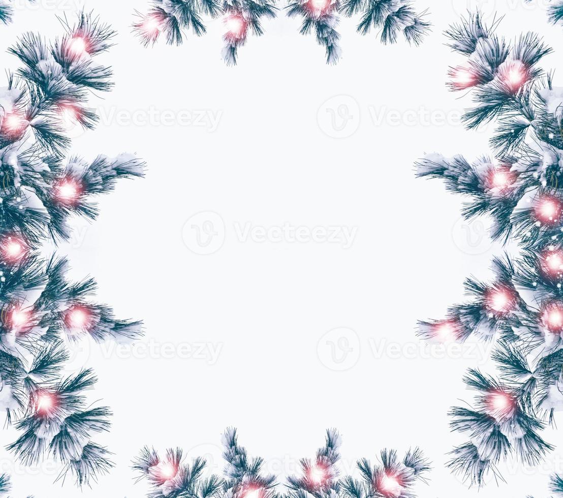 Festive Christmas frame with snowy spruce branches photo