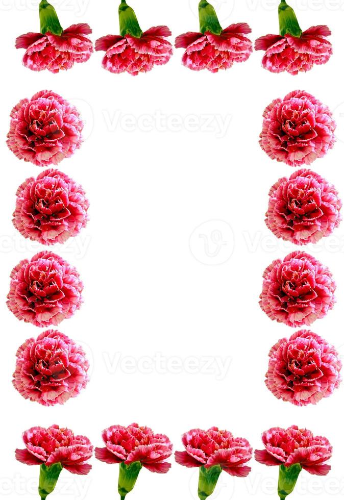 Bouquet of flowers carnation. Flowers isolated on white background. photo