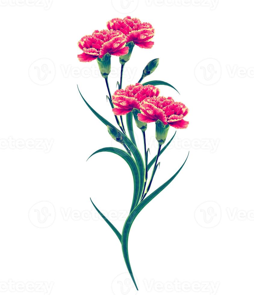 Bouquet of flowers carnation. photo