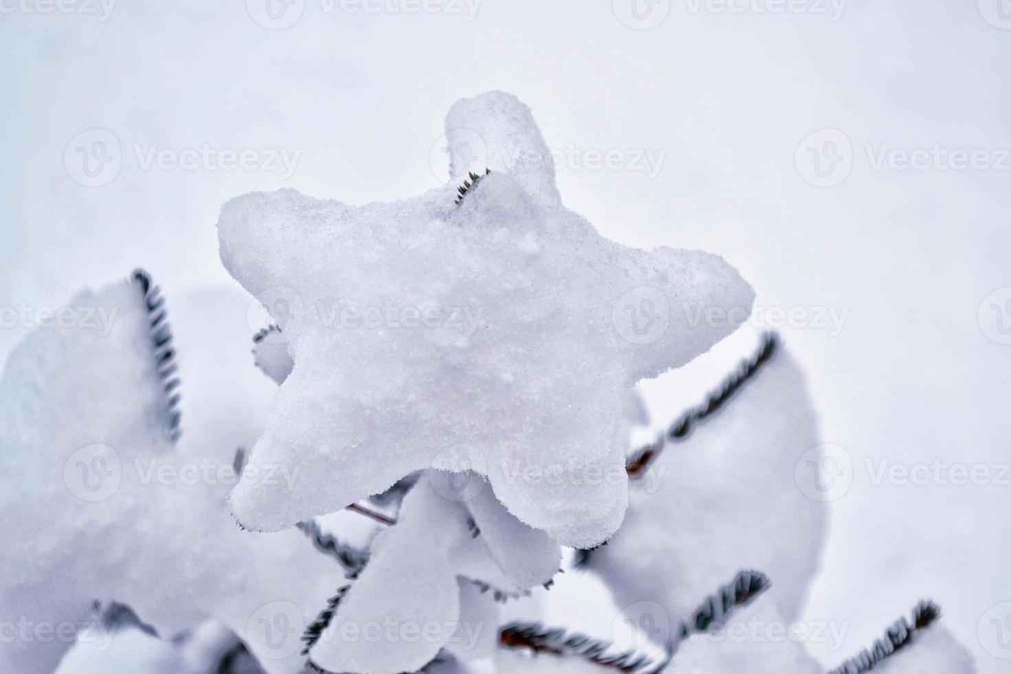 forest in the frost. Winter landscape. Snow covered trees. photo