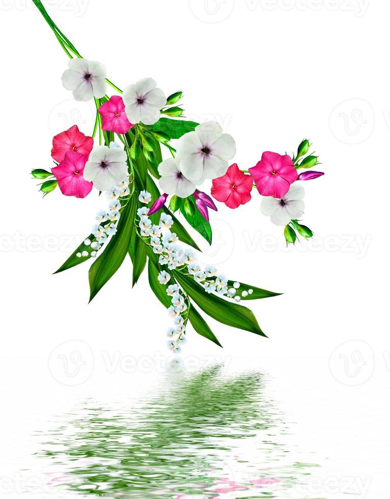 flowers lily of the valley photo