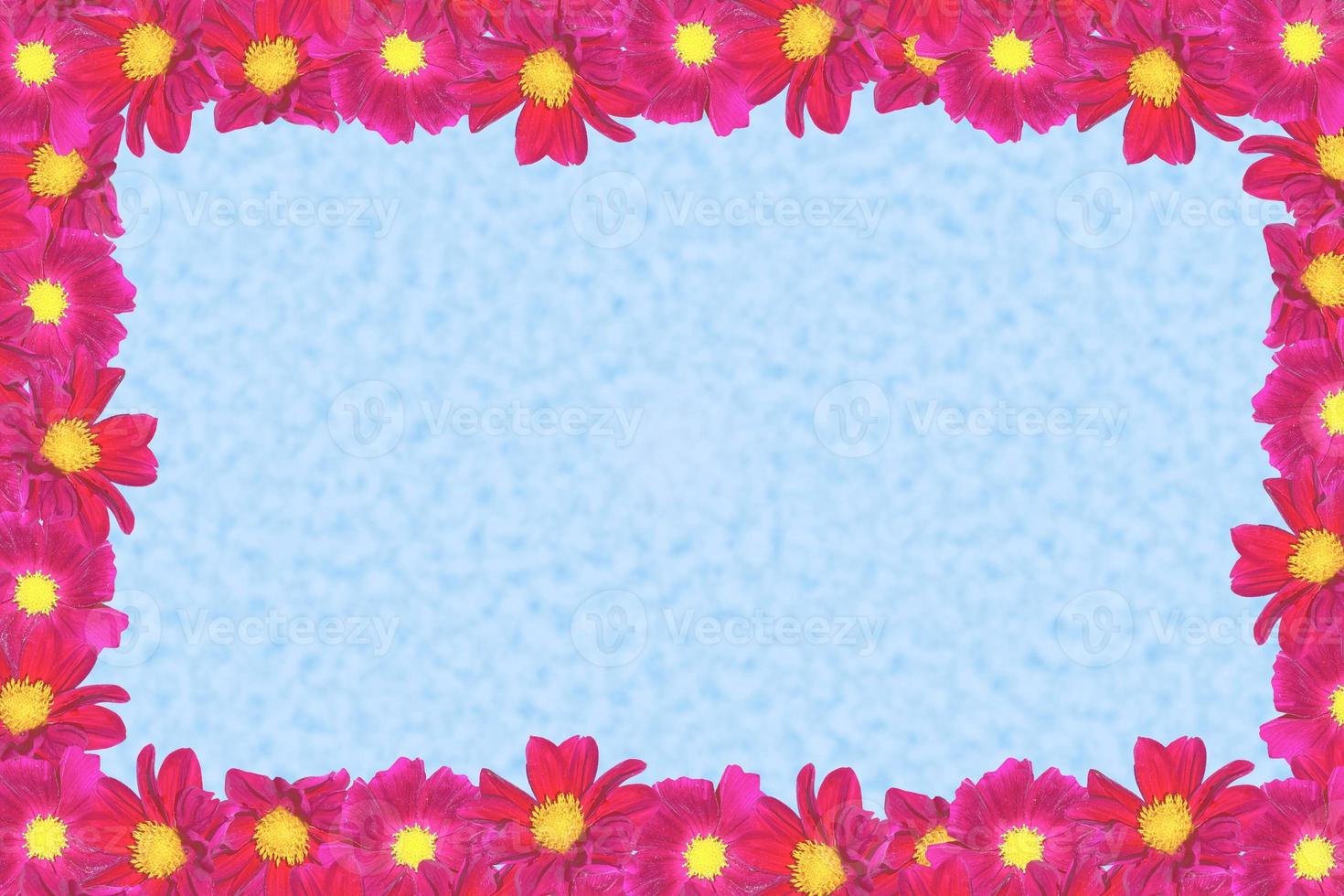 flor de dalia de color foto