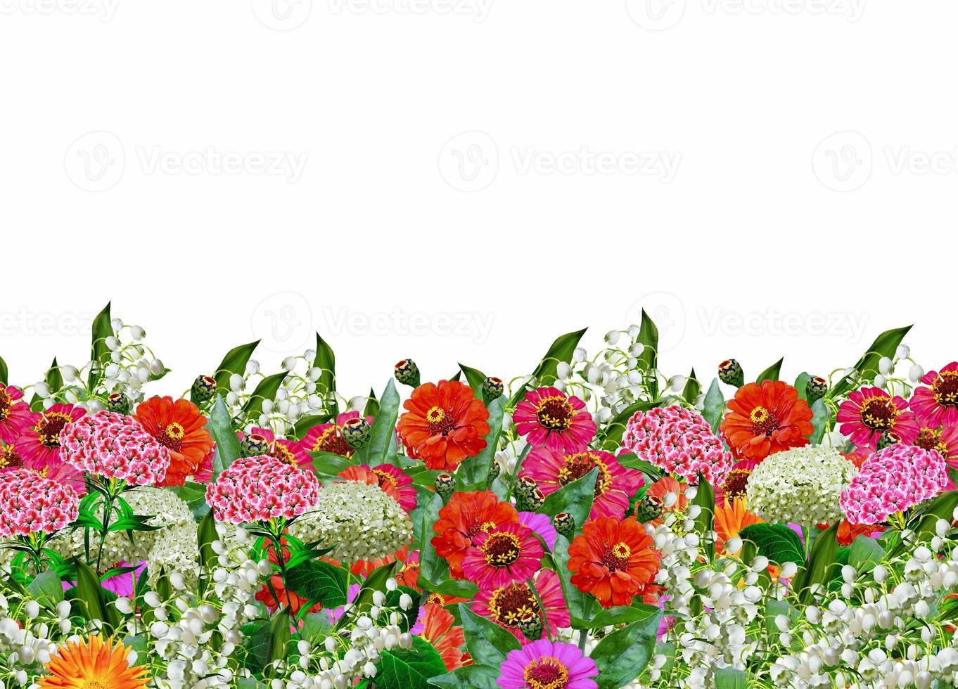 floral background. flowers photo