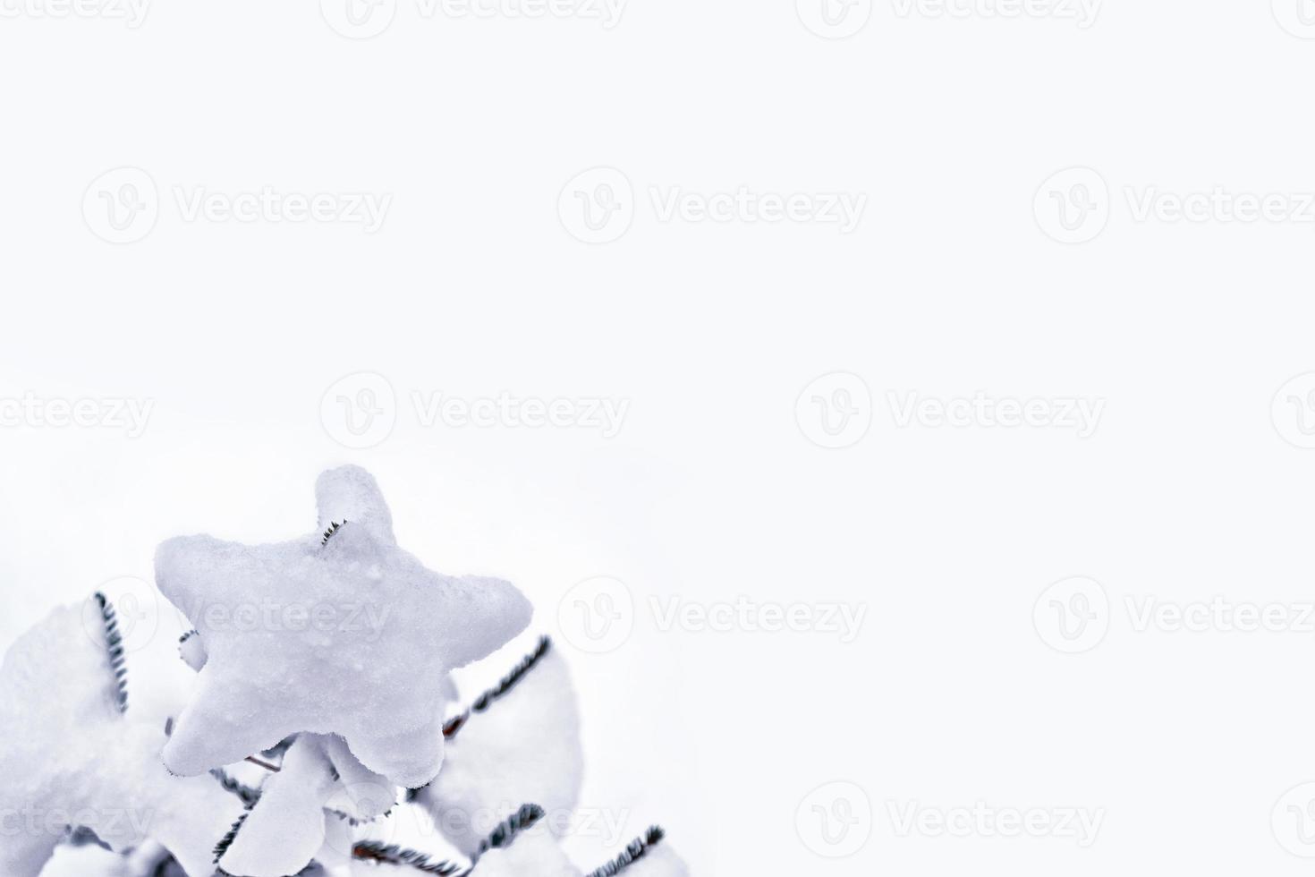 forest in the frost. Winter landscape. Snow covered trees. photo