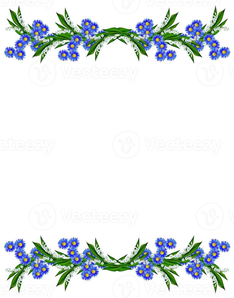 daisies summer white flower isolated on white background photo