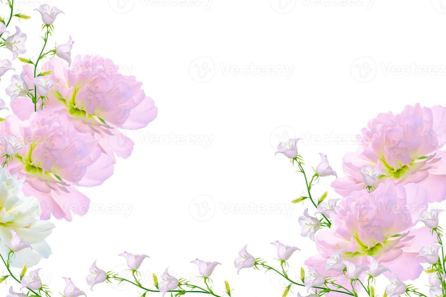 Floral natural background of bright colorful flowers photo