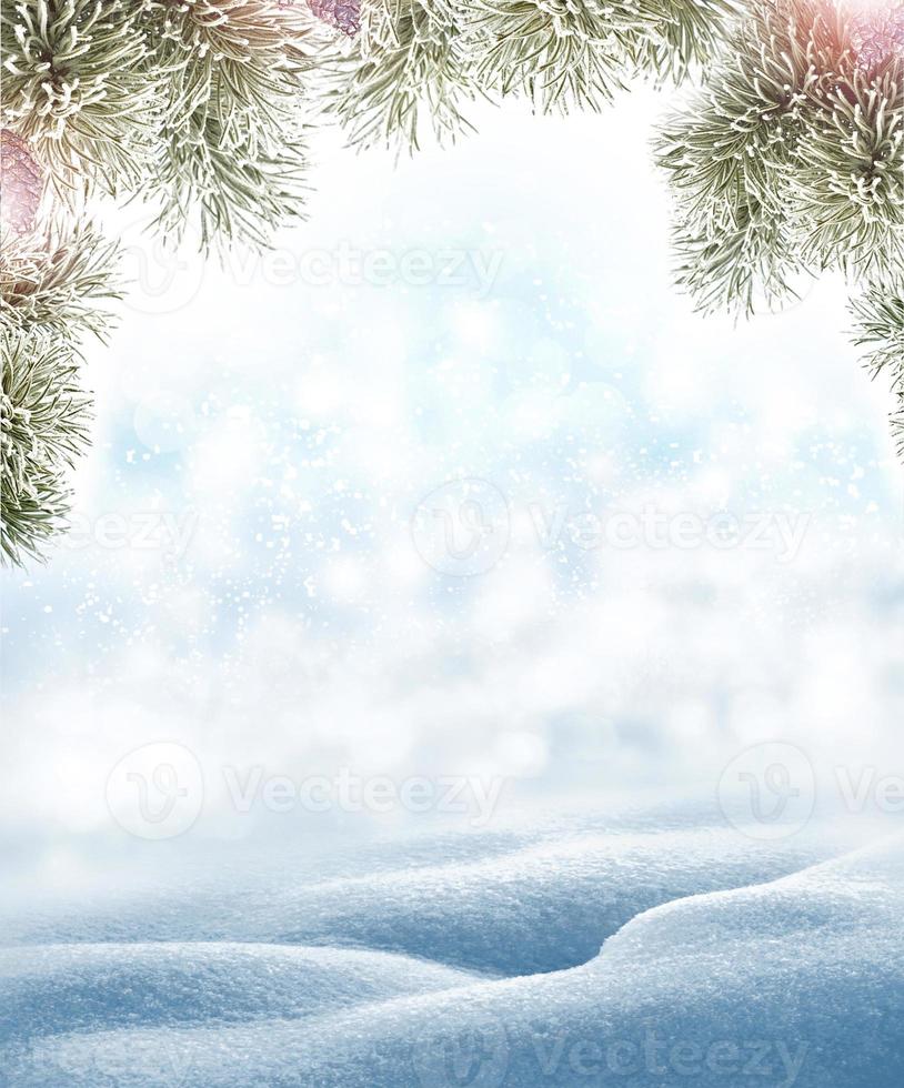 Background of snow. Winter landscape. photo