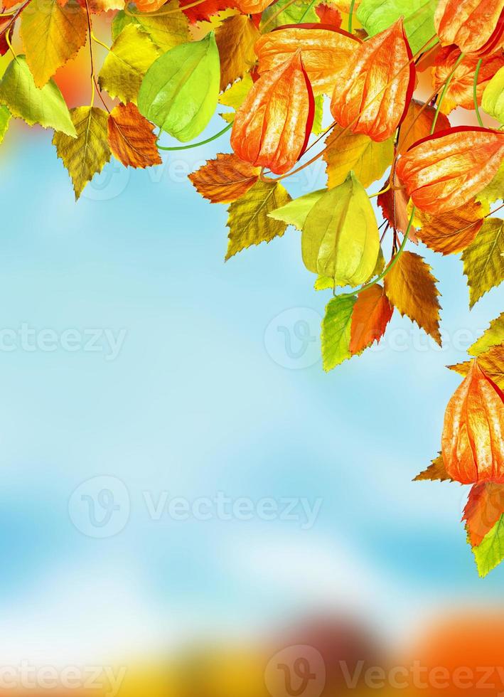 follaje de colores brillantes sobre un fondo del paisaje otoñal foto
