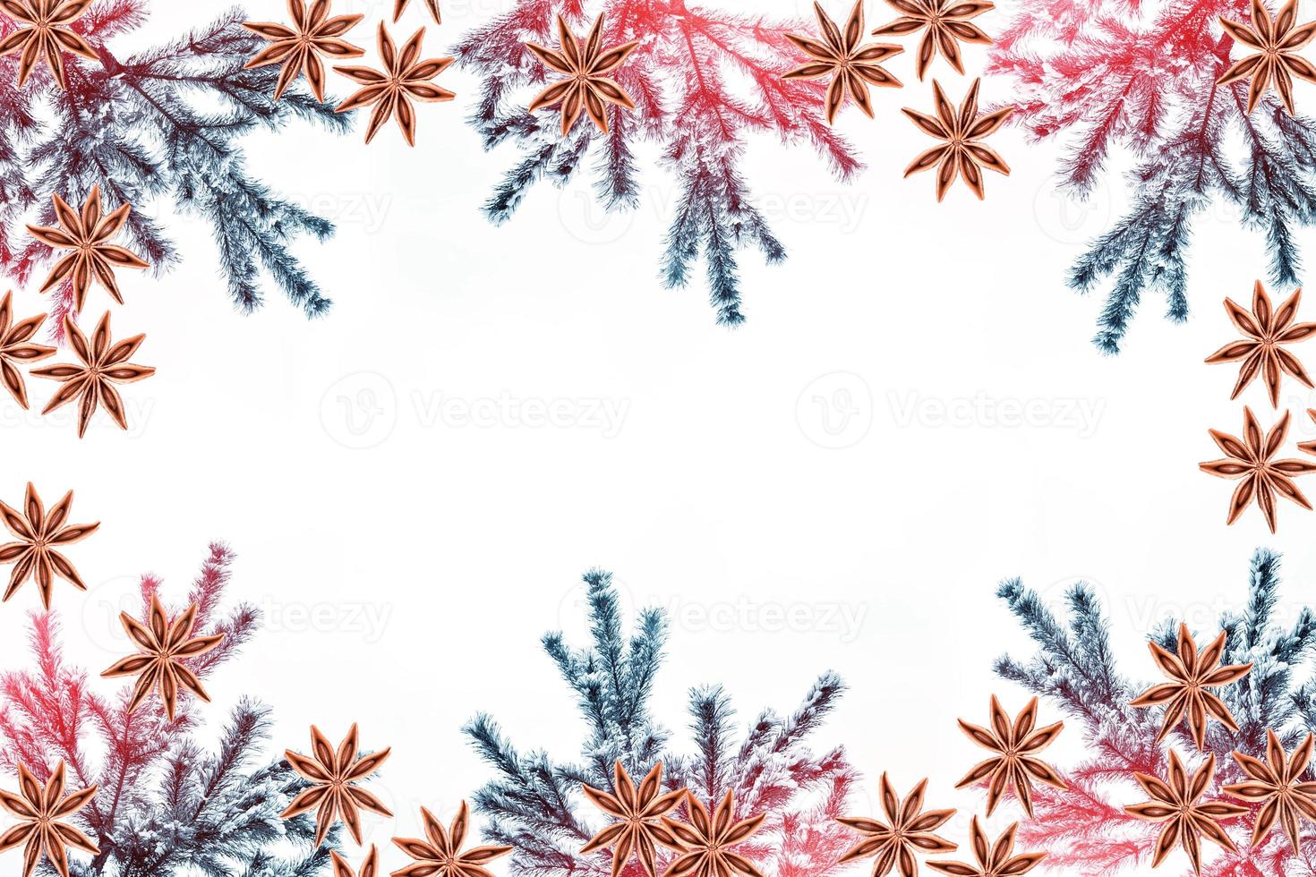 The branches of the snow covered tree Christmas tree photo