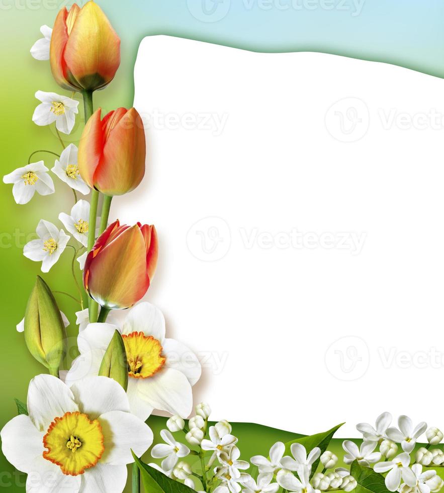 Holiday Spring card. Floral background. Bright colorful flowers. photo