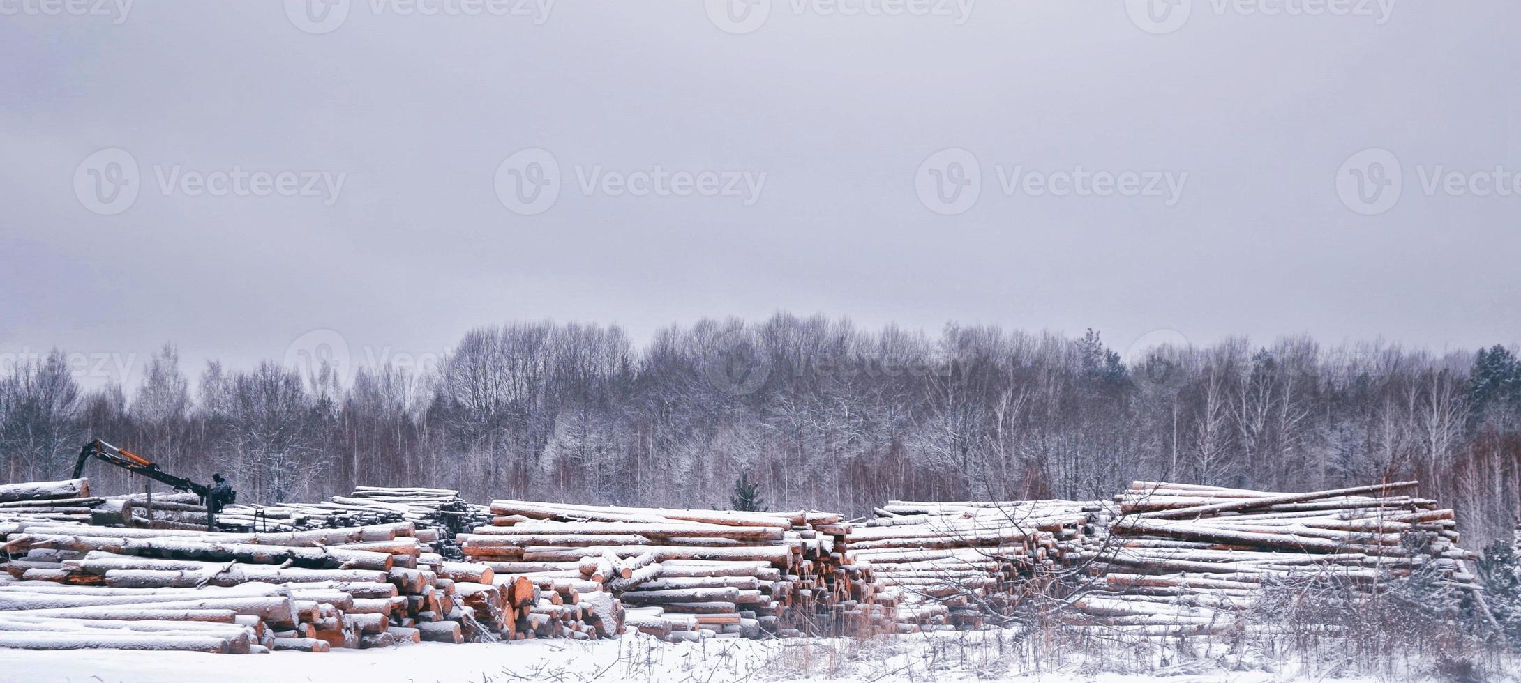 Landscape. firewood stack on winter snow in the forest. photo