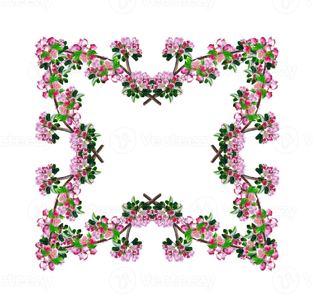 frame of flowers photo