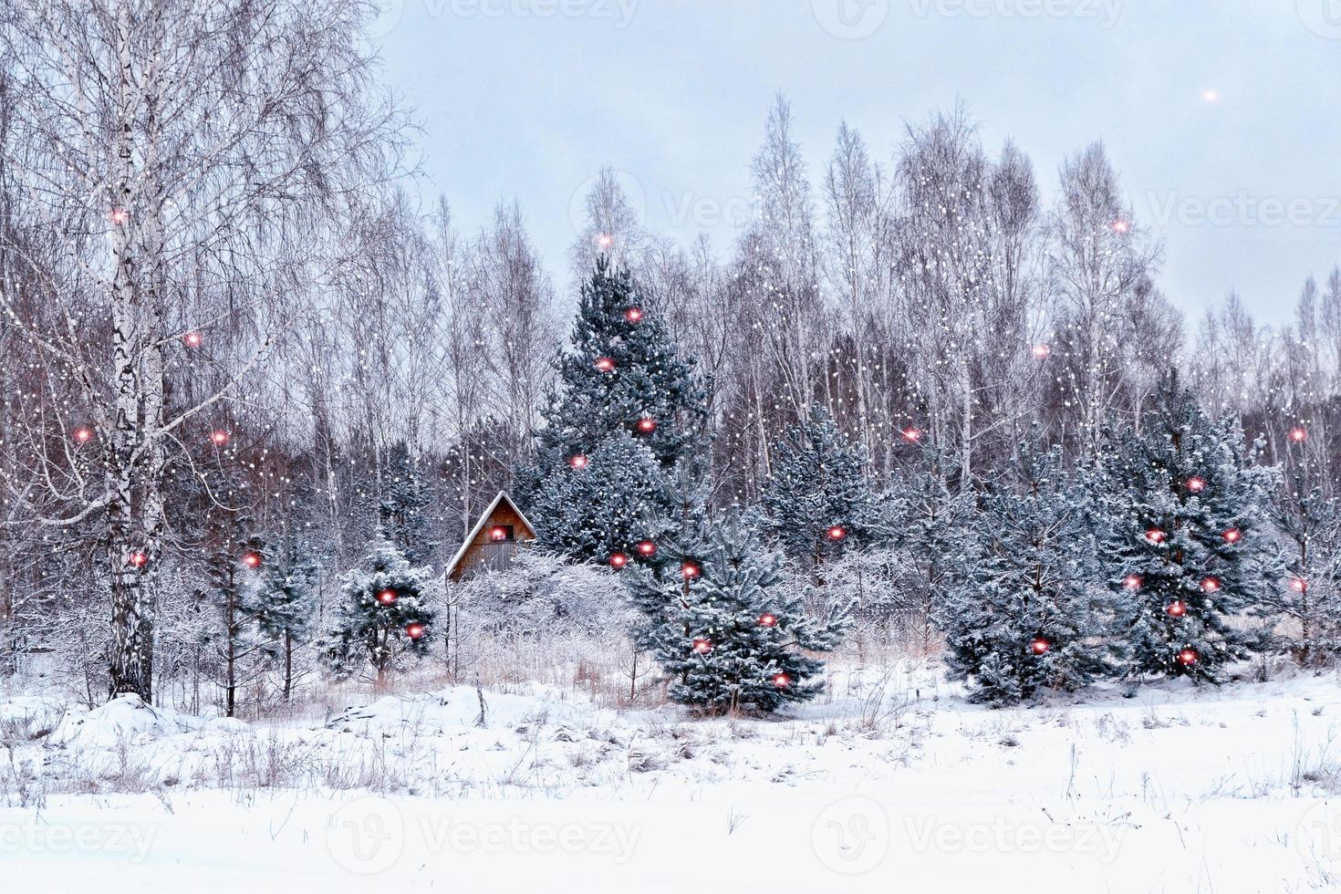 Village in winter snow covered forest. Holiday card. photo