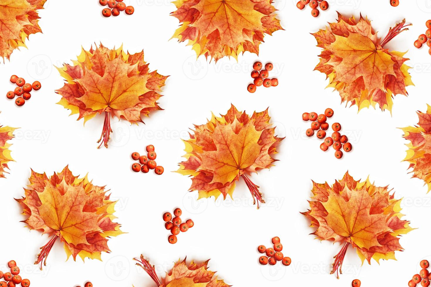 Bright colorful autumn leaves photo