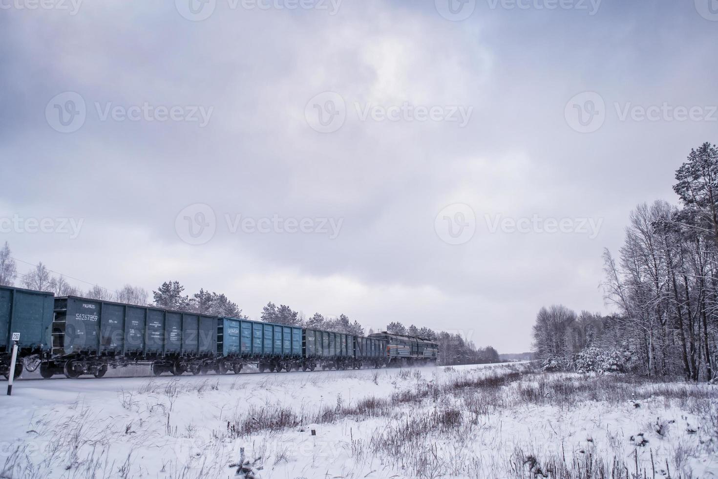 el tren de carga viaja a través del bosque cubierto de nieve en rusia. foto