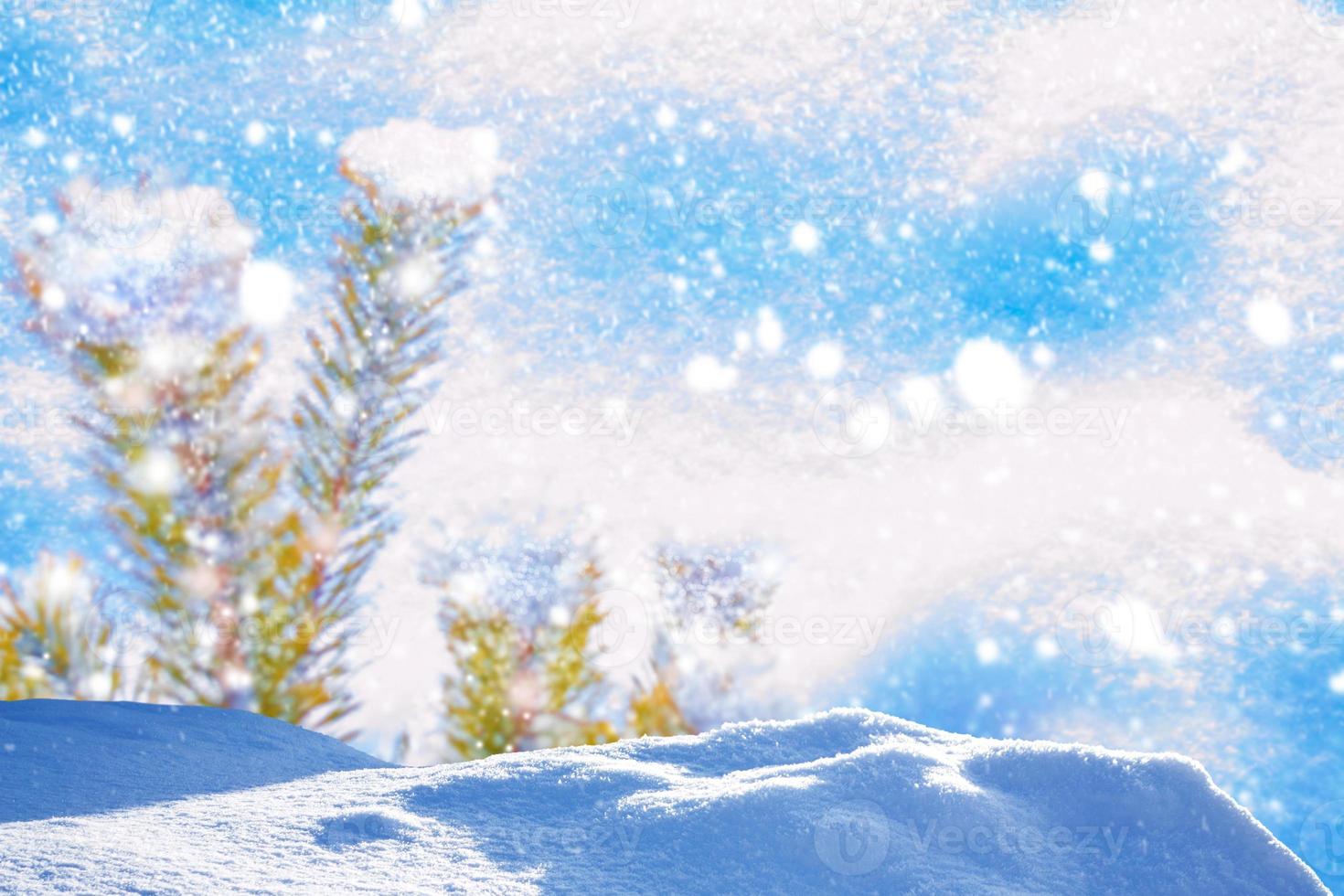 Frozen winter forest with snow covered trees. photo