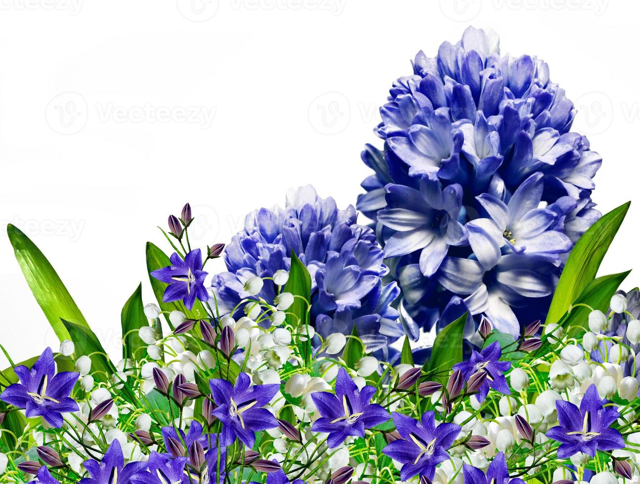 hyacinth flower. Flowers. Floral arrangement. photo