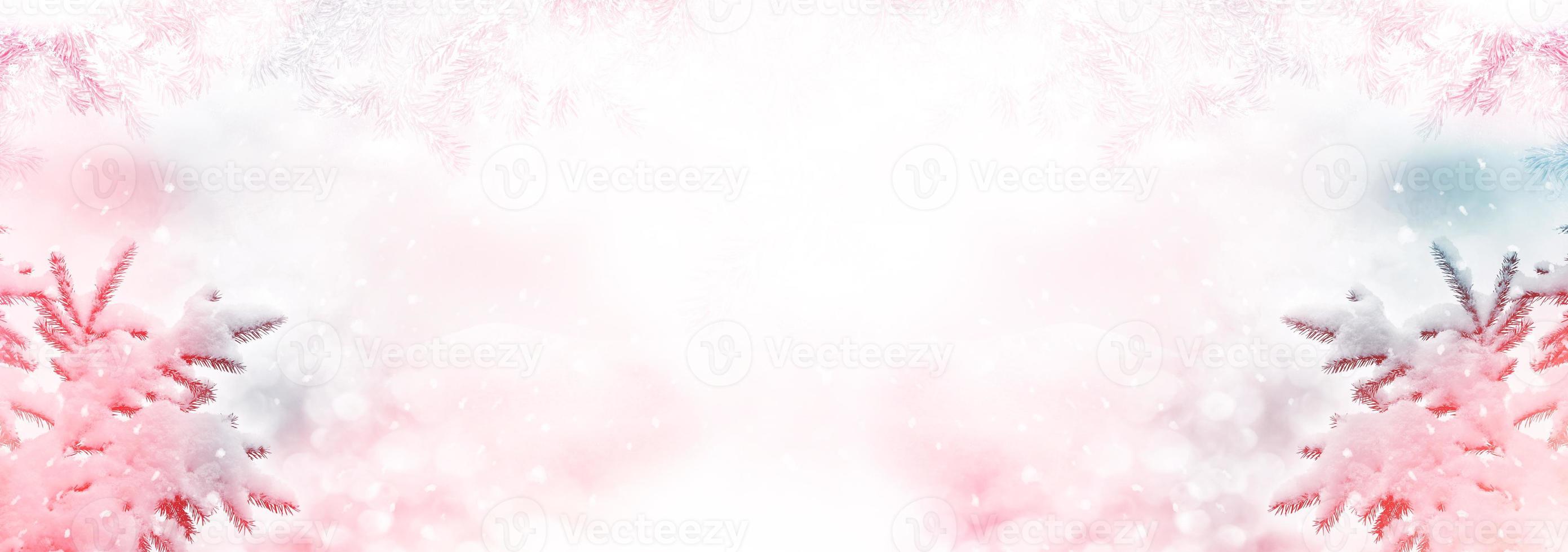 forest in the frost. Winter landscape. Snow covered trees. photo