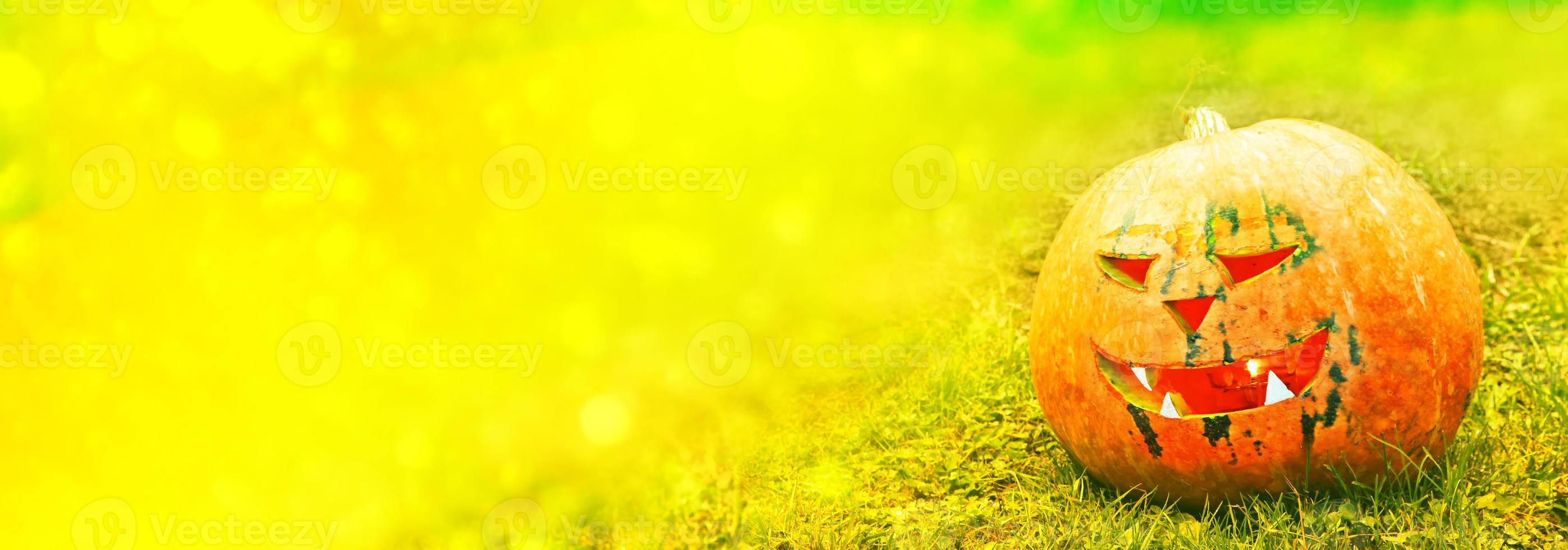 Autumn background of the fruits of a bright orange pumpkin. photo